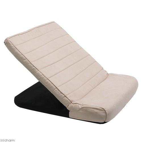 明和グラビアペット用スロープ　アイボリー　１４段階調節　介護　ペットステップ 明和グラビア ペットスロープ ドッグスロープ 犬 スロープ