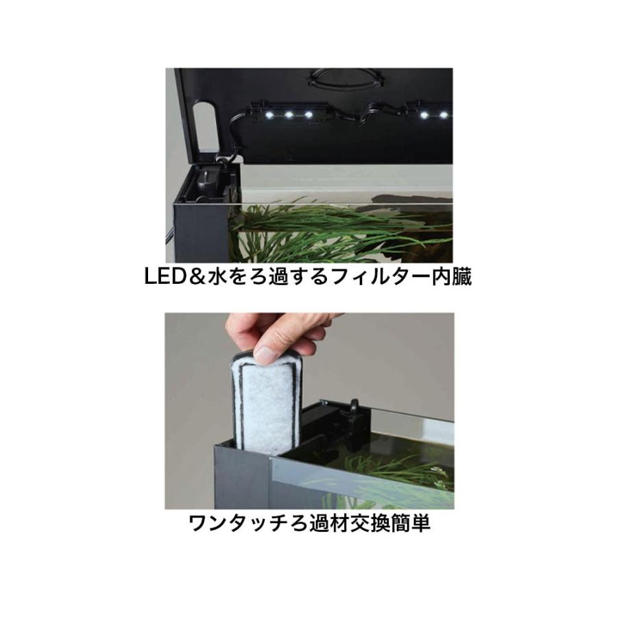 ジェックス ラクテリア ホワイト RAKU TERIOR 楽天市場】【全国送料無料】GEX ラクテリア ホワイト (白