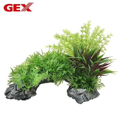 GEX（ジェックス） アクアキャンバス アーチ 人工水草 : チャーム