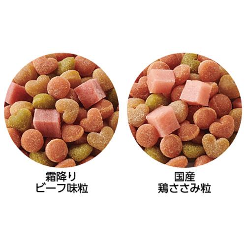 いぬのしあわせ ドッグフード ペットライン いぬのしあわせ プッチーヌ