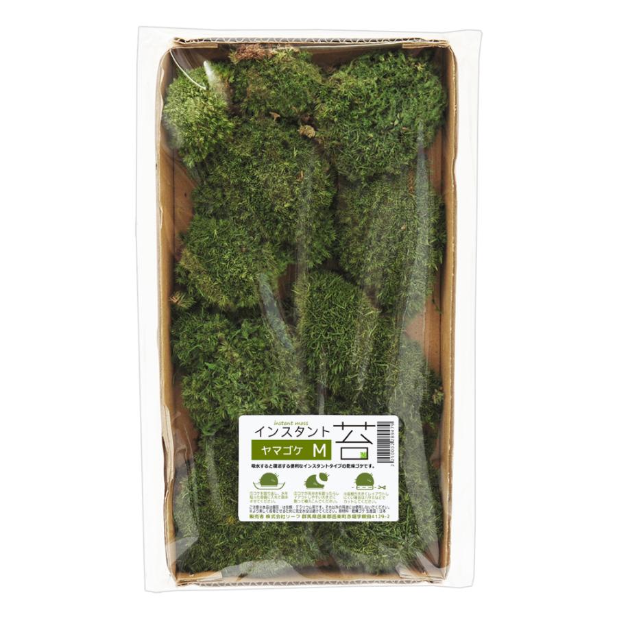 Leaf Corp インスタント苔 ヤマゴケM 外径14cm×26cm ドライ
