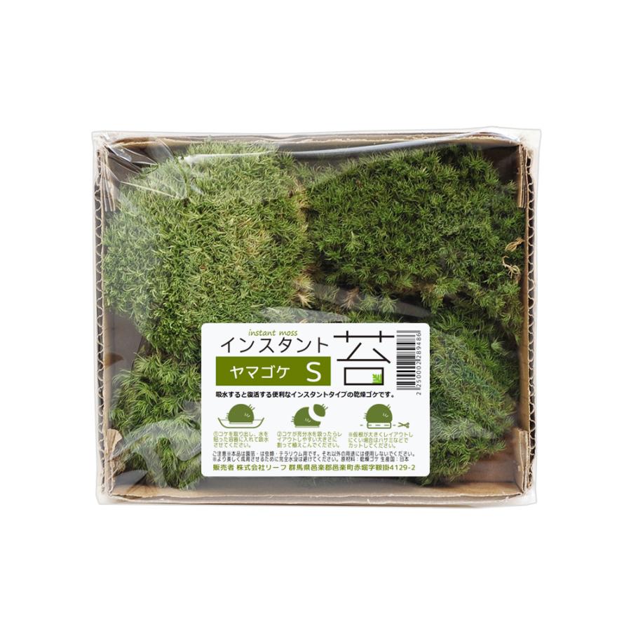 Leaf Corp インスタント苔 ヤマゴケS 外径14cm×12cm ドライ