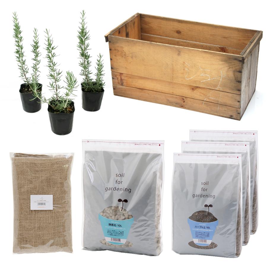 観葉植物 りんご箱ガーデン ローズマリー栽培セット 無塗装 麻袋 軽石砂 培養土付き お一人様１点限り 同梱不可