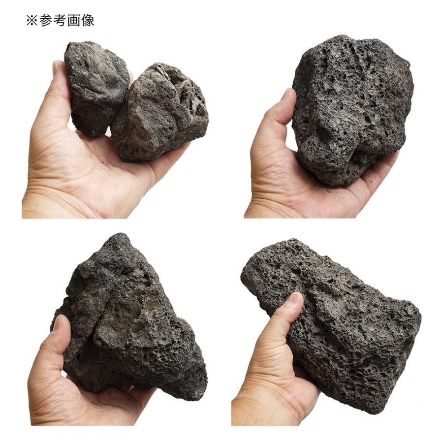 チャーム（ペット） 形状お任せ 黒溶岩石 サイズミックス