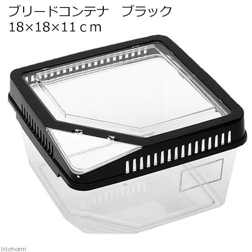 爬虫類ケージ18