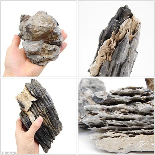 形状お任せ　積層石　サイズミックス　３ｋｇ（約５〜２０ｃｍ）　アクアリウム　テラリウム　レイアウト素材