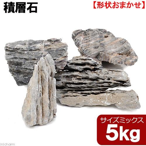 チャーム（charm） 形状お任せ 積層石 サイズミックス 5kg 45cm