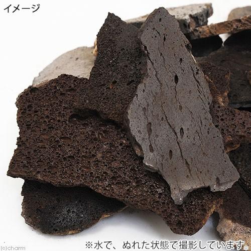 チャーム（charm） 形状お任せ スライス溶岩石 サイズミックス