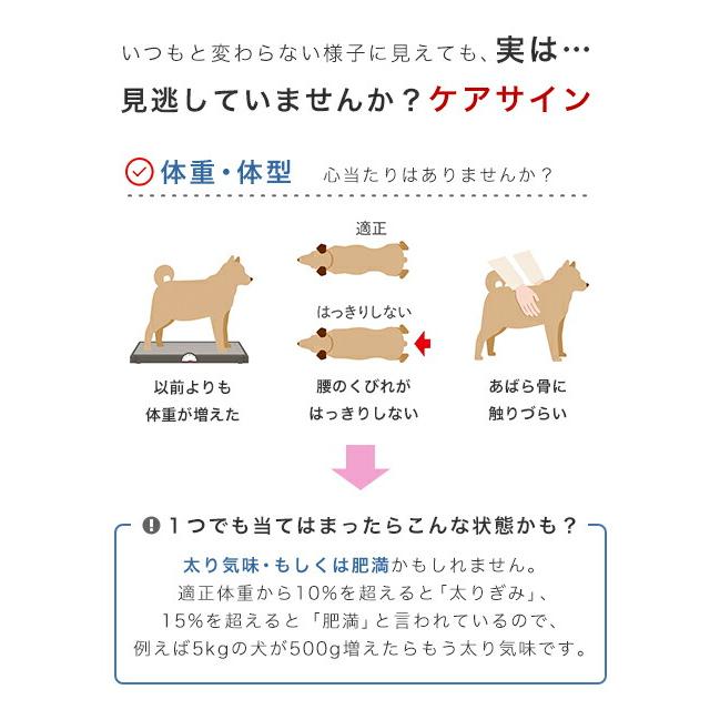 ロイヤルカナン　減量したい犬用　小型犬用　ミニ　ライトウェイトケア　生後１０ヵ月齢以上　２ｋｇ　ジップ付（ドッグフード　ドライ）｜chanet｜07