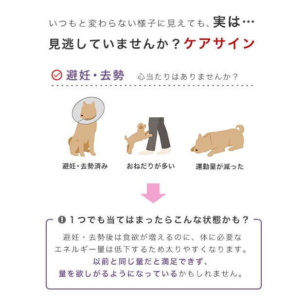 ロイヤルカナン　避妊・去勢犬用　小型犬用　ミニ　ステアライズド　生後１０ヵ月齢以上　４ｋｇ　ジップ付（ドッグフード　ドライ）｜chanet｜07