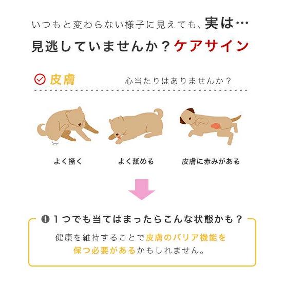 ロイヤルカナン　皮膚の健康を維持したい犬用　超小型犬〜小型犬用　ミニ　ダーマコンフォート　生後１０ヵ月齢以上　２ｋｇ　ジップ付（ドッグフード　ドライ） | ロイヤルカナン | 07