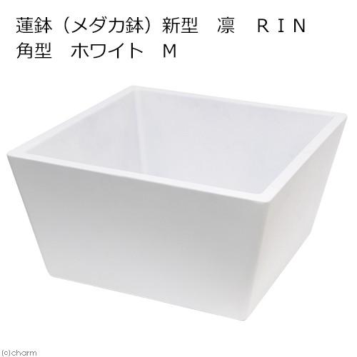 Leaf Corp - スイレン鉢 製造会社直送 スイレン鉢（メダカ鉢） 新型 凛 ＲＩＮ 角型 白いこと Ｍ スイレン鉢・金魚鉢・メダカ鉢 同梱不可 水鉢、睡蓮鉢-鉢、プランター-園芸用品