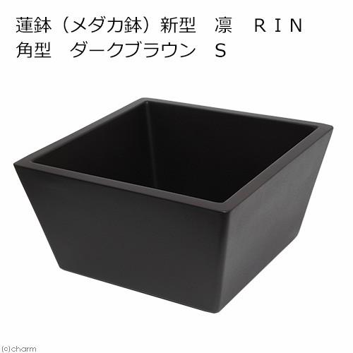 睡蓮鉢 新型 凛 RIN 角型 ダークブラウン