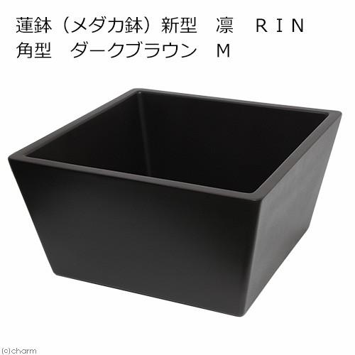 Leaf Corp 睡蓮鉢 メーカー直送 睡蓮鉢（メダカ鉢） 新型 凛 RIN 角