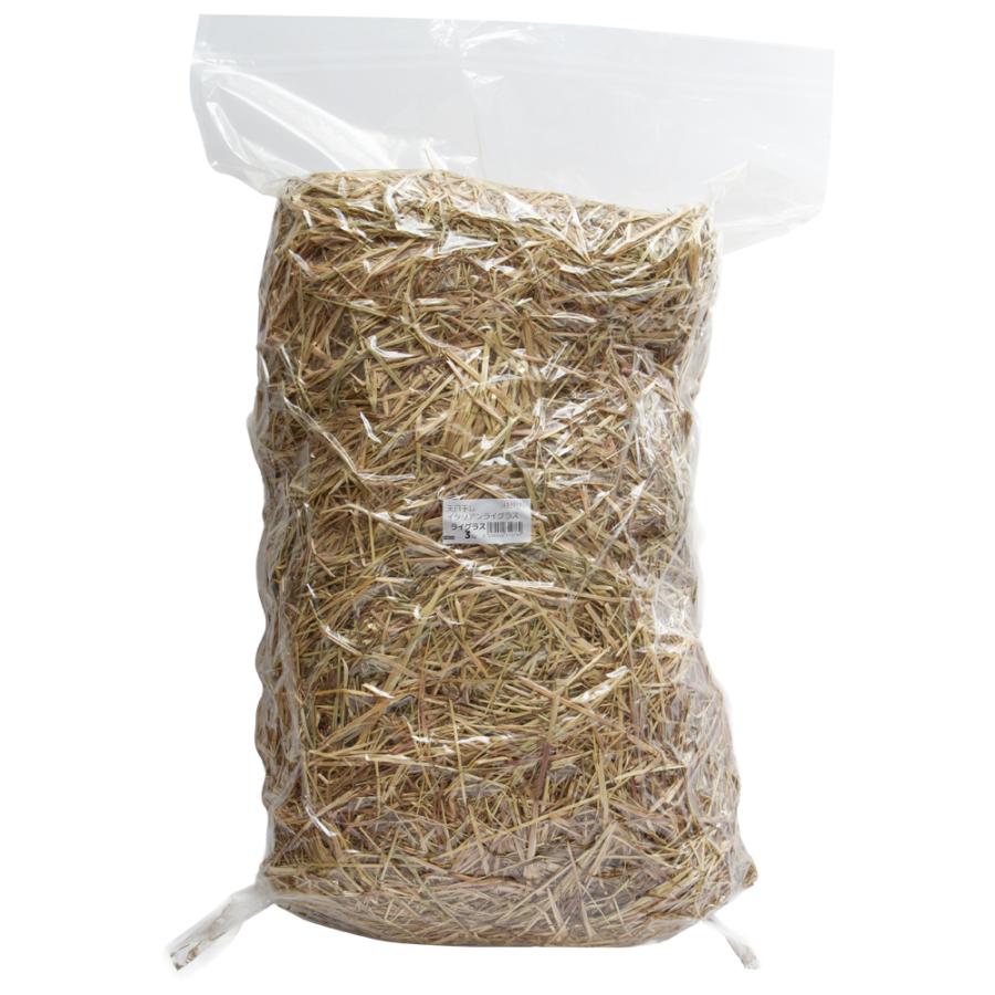 未選別 国産 天日干し イタリアンライグラス 段ボール箱 ５ｋｇ 牧草 うさぎ 小動物 お一人様１点限り チャーム Charm Paypayモール店 通販 Paypayモール