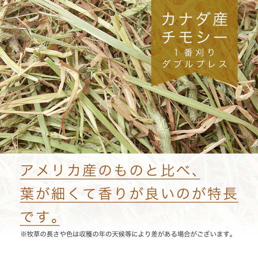 Leaf Corp カナダ産チモシー 一番刈 ダブルプレス 3kg 業務用大容量