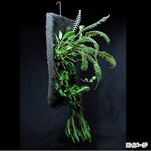 ✩生産終了サイズ✩EPIWEB Panels 89x59x2cm パルダリウム EPIWEB Panels 290×440×2cm エピウェブ パルダリウム テラリウム