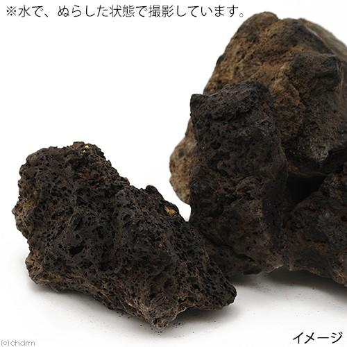 チャーム（charm） 形状お任せ ラバロック ボール サイズミックス