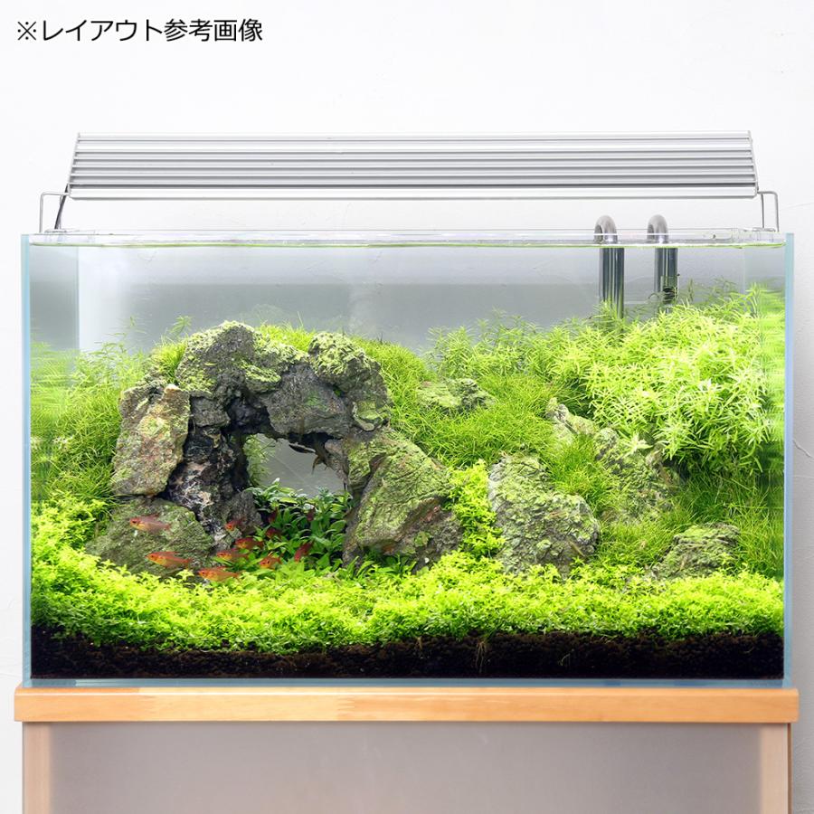 チャーム（charm） 形状お任せ 深岳石 サイズミックス 3kg 30cm