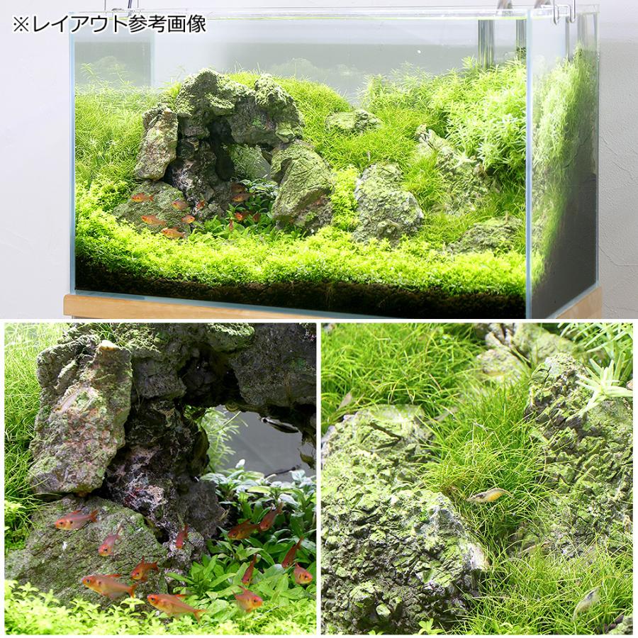 アクアリウム・水槽レイアウト用　積層石？石の名前不明 楽天市場】形状お任せ 裂渓石 サイズミックス 3kg 30cm