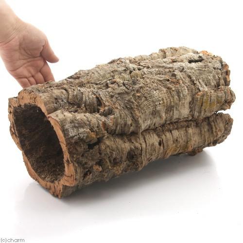 形状おまかせ 筒型コルク ｌサイズ 長さ３０ｃｍ 蘭 エアプランツ 着生植物 爬虫類 チャーム Charm Paypayモール店 通販 Paypayモール