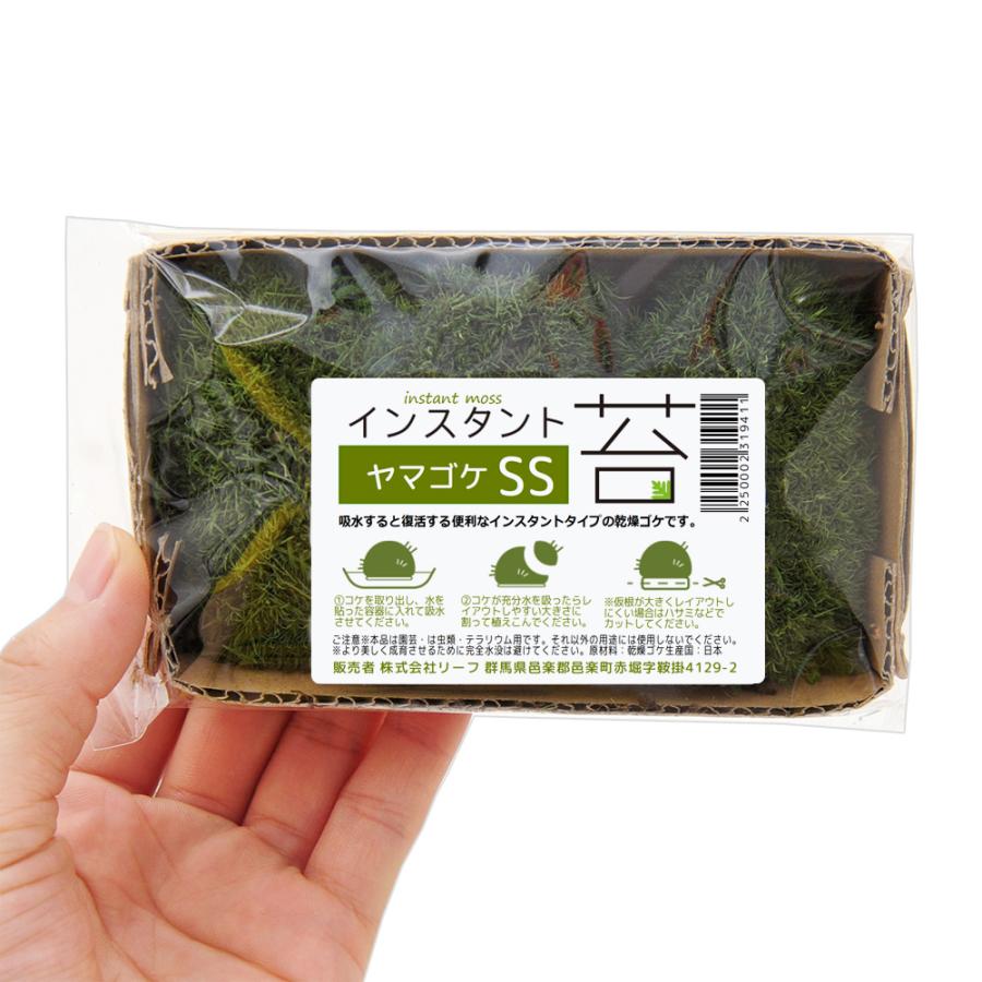 Leaf Corp インスタント苔 ヤマゴケSS 外径13cm×8cm ドライ