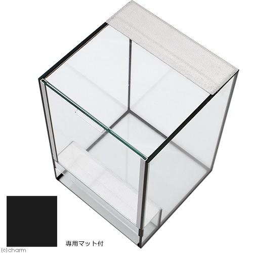 Ｐａｌｕｄａ−Ｍｉｎｉ　パルダ　ミニ　２０×２０×３０ｃｍ　板厚５ｍｍ　ブラックシリコン　ガラス水槽　お一人様５点限り | プレココーポレーション | 02