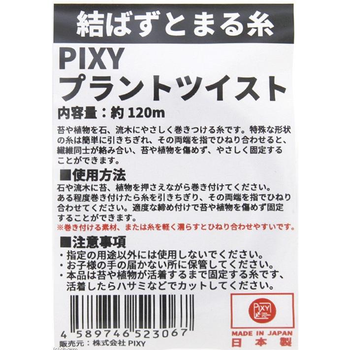 PIXY プラントツイスト 約120m|チャーム charm PayPayモール店|02