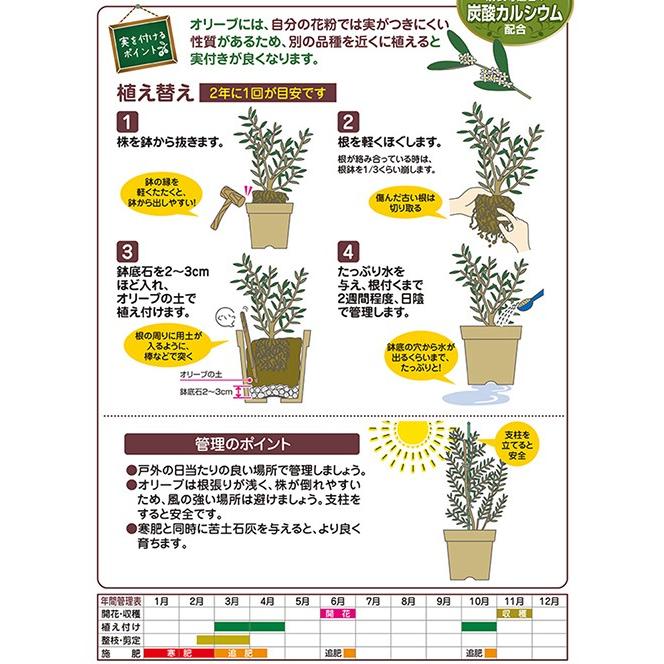 花ごころ オリーブの土 ストア ５ｌ612円