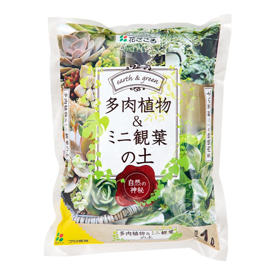 花ごころ 多肉植物 ミニ観葉の土 １ｌ