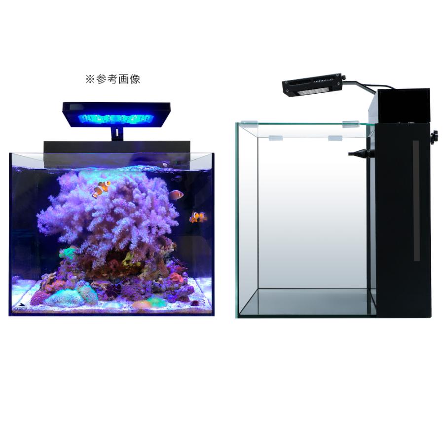 水槽 ORCA シェル2本体【売先確定 】