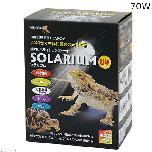 ペットペットゾーン ペットペットゾーン ソラリウム 70W ランプ