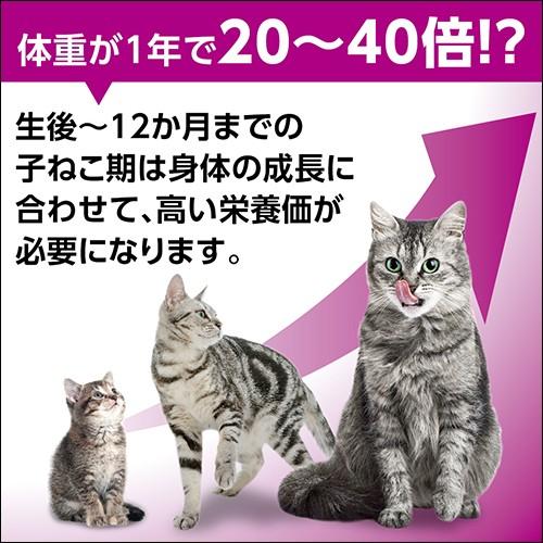 カルカン　パウチ　１２ヵ月までの子ねこ用　まぐろ　たい入り　７０ｇ×１６袋　キャットフード　子猫　キトン｜chanet｜02