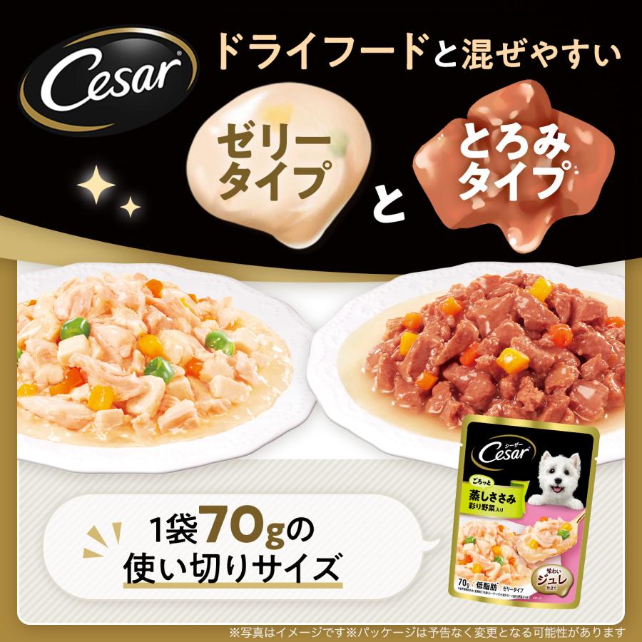 シーザー　やわらかささみ＆白身魚入り　彩り野菜入り　７０ｇ×３袋　パウチ　ドッグフード｜chanet｜05