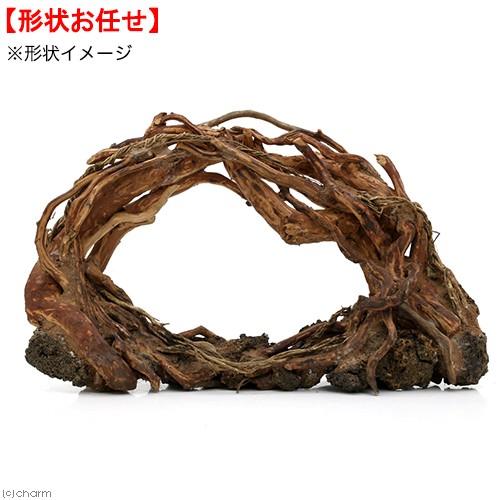 楽天1位 アウトレット品 カミハタ ダイナミック スケープ ウッド 形状おまかせ 流木 ３７ １２ ２２ｃｍ 訳あり 沖縄別途送料 内祝い Bajawinescabo Com