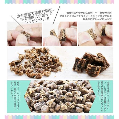 ドッグフード　イティ　ビーフディナー　２００ｇ | イティ | 03