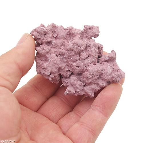 マメデザイン マメライブロック・マイクロ ライブロックレプリカ