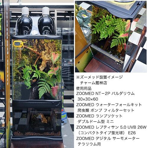 ZOOMED（ズーメッド） NT−2P パルダリウム 30×30×60 お一