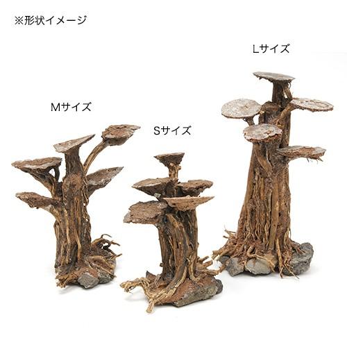 2本セット！盆栽流木Ｌサイズ チャーム（charm） レイアウト盆栽流木 フラットタイプ Lサイズ 1本