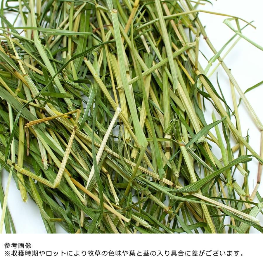 Leaf Corp うさぎ 牧草 令和7年産 国産 旬のやわらかイタリアン