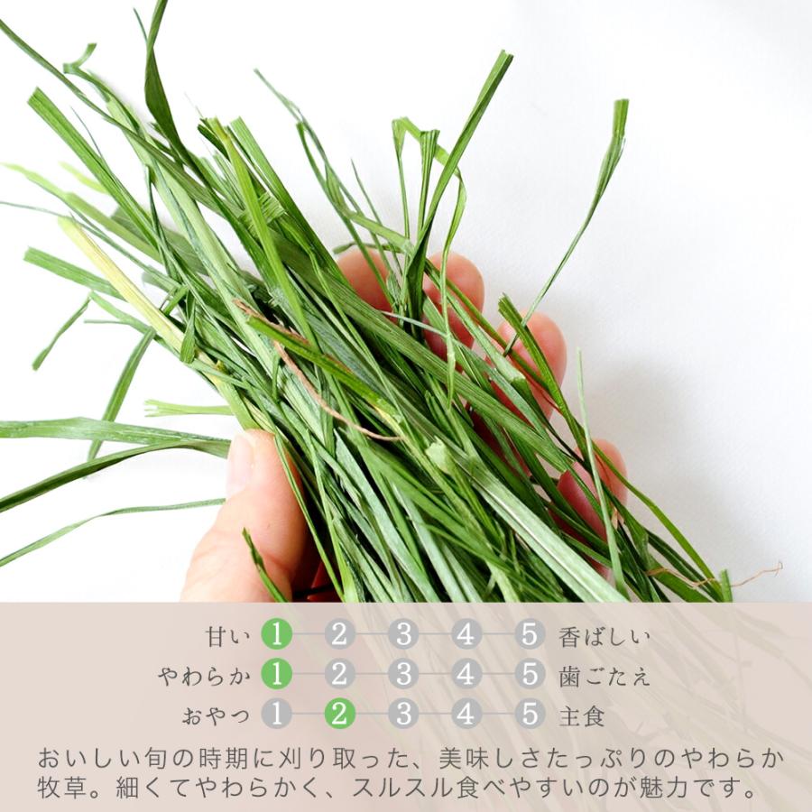 Leaf Corp 令和7年産 国産 旬のやわらかイタリアンライグラス