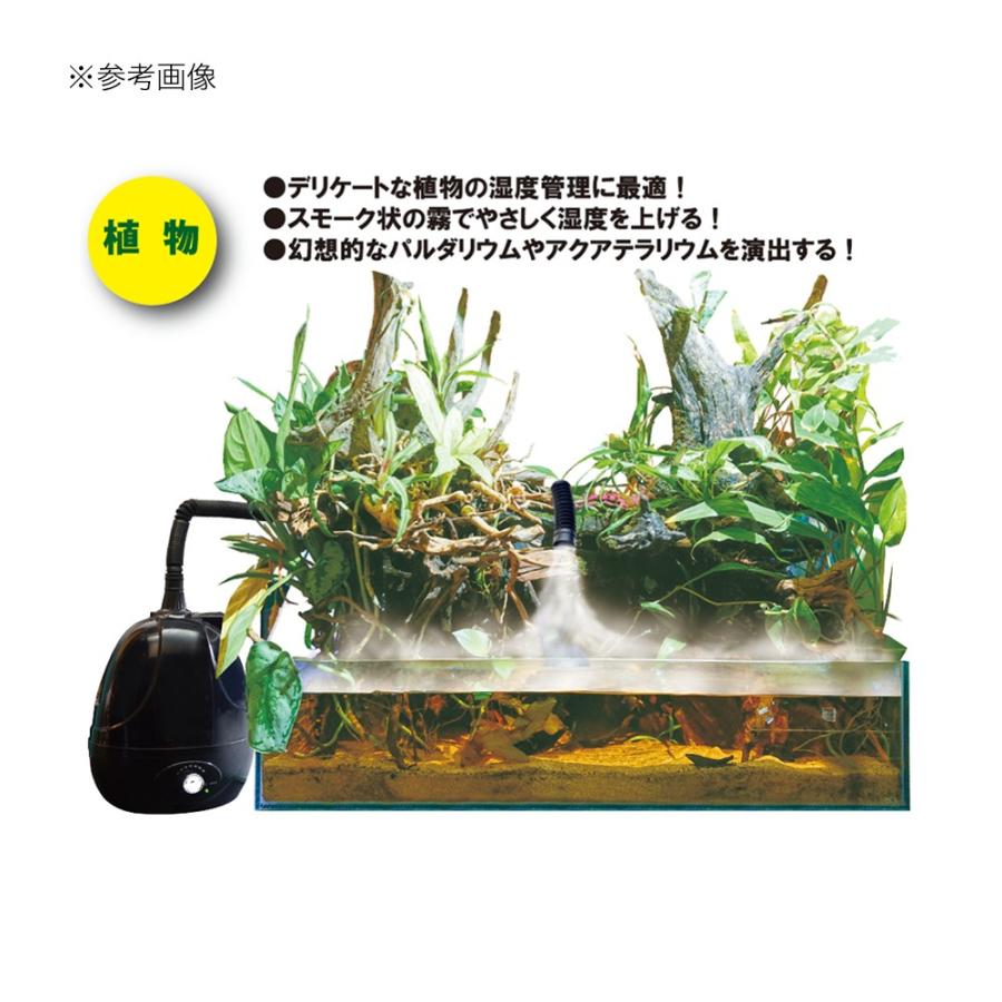 ゼンスイ 爬虫類 植物用加湿器 FOG（フォグ） テラリウム