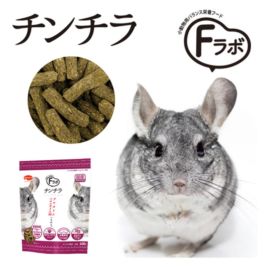 チンチラ・デグー小動物飼育セット