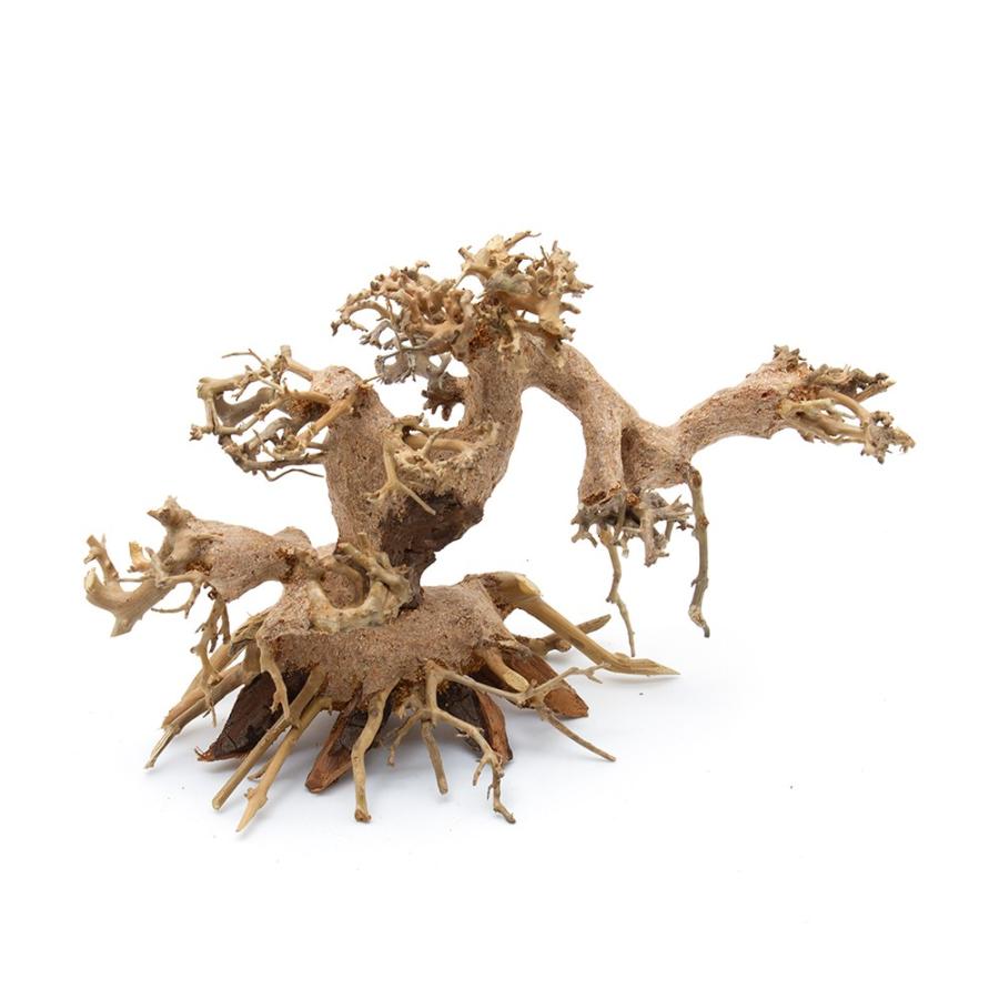 カミハタ 水景ｂｏｎｓａｉ 菩提樹 ボダイジュ ｓ 流木 活着 レイアウト 水草 チャーム Charm ヤフー店 通販 Yahoo ショッピング