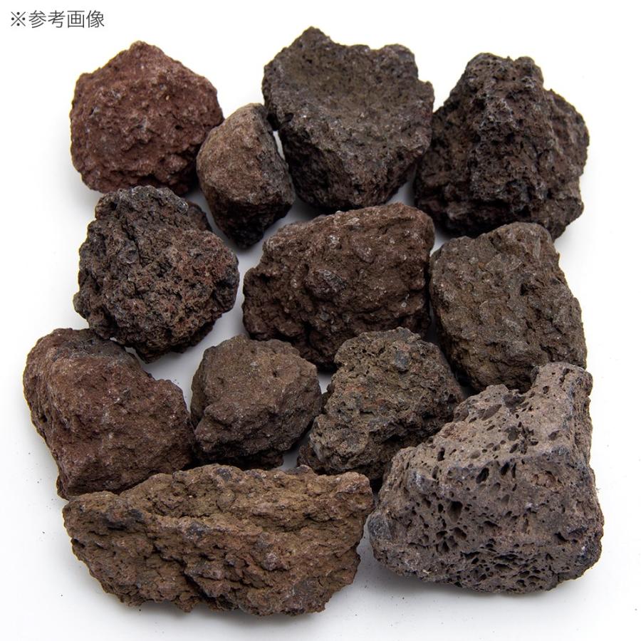 チャーム（charm） 形状お任せ 浅間溶岩石 ボトルアクア用 500g