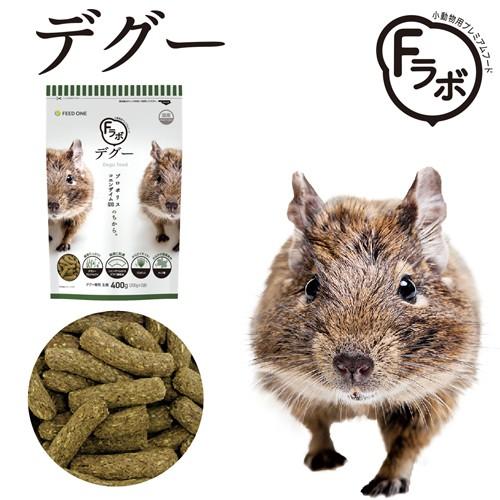 おしゃれ 格安 デグー飼育スターターセット 白ケージｖｅｒ 沖縄別途送料 一部予約販売中 Razzaqassociates Com