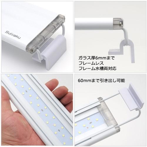 水作 ライトアップ ６００ ｌｅｄ ホワイト スマートタイマー 全商品オープニング価格