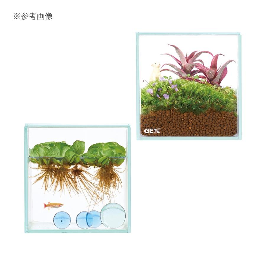 数量限定アウトレット最安価格 ｇｅｘ グラステリア フィット １００ｃｕｂｅ Riosmauricio Com