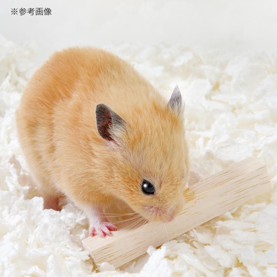 ＧＥＸ　ハビんぐ　ハーモニーバトン　５本入　ハムスター　かじり木 | ハビんぐ | 03