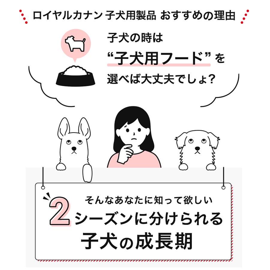 ロイヤルカナン　小型犬用　生後２カ月頃の切り替えセット　幼齢１ｋｇ　ジップ付＋子犬２ｋｇ　ジップ付＋パウチ　お一人様５点限り | ロイヤルカナン | 02